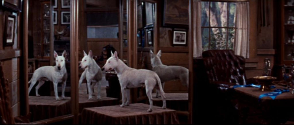 It's a Dog's Life (1955)